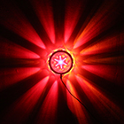 IGB-B06B Led Sunflower  pattern lamp